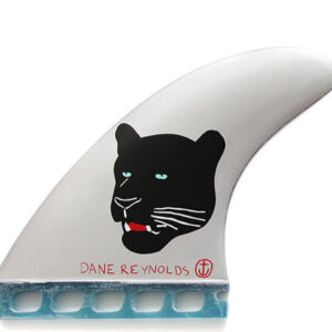 dane_fins
